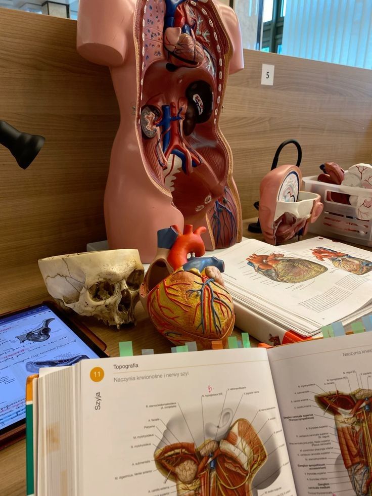 Diploma (Upgrading) in Perioperative Theatre Technology